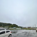 교동숲 이미지
