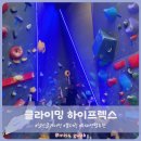 ESFP의 취미생활 클라이밍 하이프렉스 / MBTI 최신 검사 무료 사이트