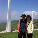 야생화답사 이미지