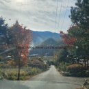 하미르펜션 이미지