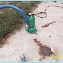 광천농장 이미지