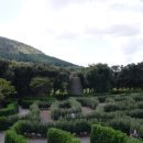 메이즈랜드 이미지