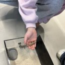 커먼머스크 | [동탄] 우리 딸 첫 반려동물 커먼머스크 거북이 분양 후기 동탄 파충류샵 : 부기배미 파충류샵 , 화성...