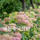다음주 절정 공주 유구색동수국정원 실시간 수국 개화상태 가는방법 &amp; 주차 솔직후기