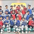 팀코리아 태권도장 이미지