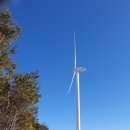 박용수농장 | 하심 194차 양산 능걸산 : 굉장히 편한 겨울 산행 (에덴벨리CC 버스정류장 ~ 능걸산 ~ 천마산 ~ 감결마을)