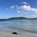 오피스제주 | 제주워케이션 : 올라/오피스제주 조천점/사계점 후기