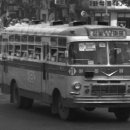 새나라자동차공업사 이미지