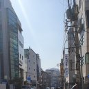 금성부동산공인중개사사무소 이미지
