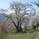 논개사당 이미지