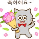싱싱플러스(주) 이미지