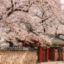 신평동1080 이미지