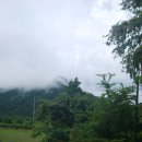 우리들 목장 이미지