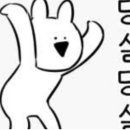 평생학습관 수영장 이미지