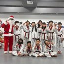 용인대학교 스타태권도장 이미지