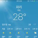 메르시스냅 이미지