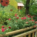 화랑어린이집 이미지