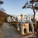 아름다운쉼터 | 송도 흥륜사 쉼터 인천 절 템플스테이 청량산