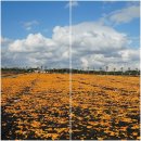 우람목장 이미지