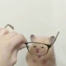 서구네(모닝하우스) | [NO.2] 대구 결혼식장 베뉴 '엠스타하우스 모닝스타홀' 워킹 계약 후기