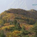 019-문산-019 이미지