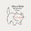 초록바다 Daum카페