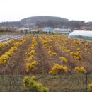 우림농원 이미지