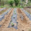 소초농장 이미지