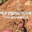 달리는이유 이미지