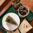 거북이 | 사당 방배동 디저트 맛집 비건 카페 거북이 후기