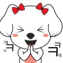 애견카페 포 이미지