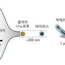 우리 몸속서 자율주행하며 질병 치료하는 로봇 현실화한다 이미지