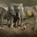 신동아7차아파트 이미지