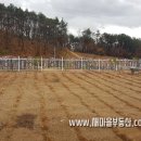 여주-0662 네이버블로그