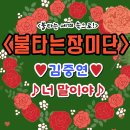 너말 이미지