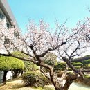 김해고등학교 이미지