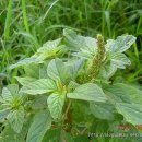 호생농장 이미지