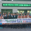 남양면사무소 이미지