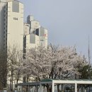 광개토대왕 광장 | 🌟광개토대왕릉비 기도후기(공수포함)