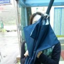 통영양지펜션 이미지