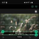 동대신3동 주민센터 이미지