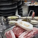 종달 홀라인 이미지