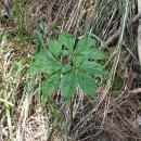 용현주공아파트앞 이미지