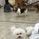 SUNNYNE 이미지