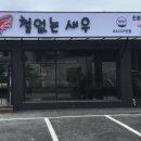 철없는 새우 이미지