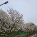 에스엠스크린골프연습장