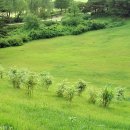 올림픽공원 이미지