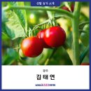 김태연농장 이미지