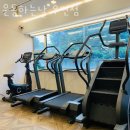 우면 | 서초헬스장 운동하는날 우면점 업체 정보 후기