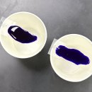 천연염색에 대한 이해와 실습 | [한국식품정보원] 미생물 입문자를 위한 실험기초 실습 후기